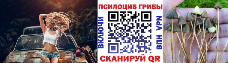 Купить закладки  Нерехта  Галлюциногенные грибы прущие грибы 